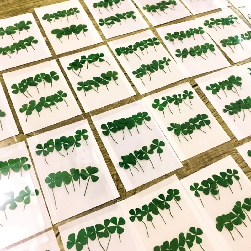 Resin Art Baby - 12Pcs 행운의 말린 잎 클로버 UV
